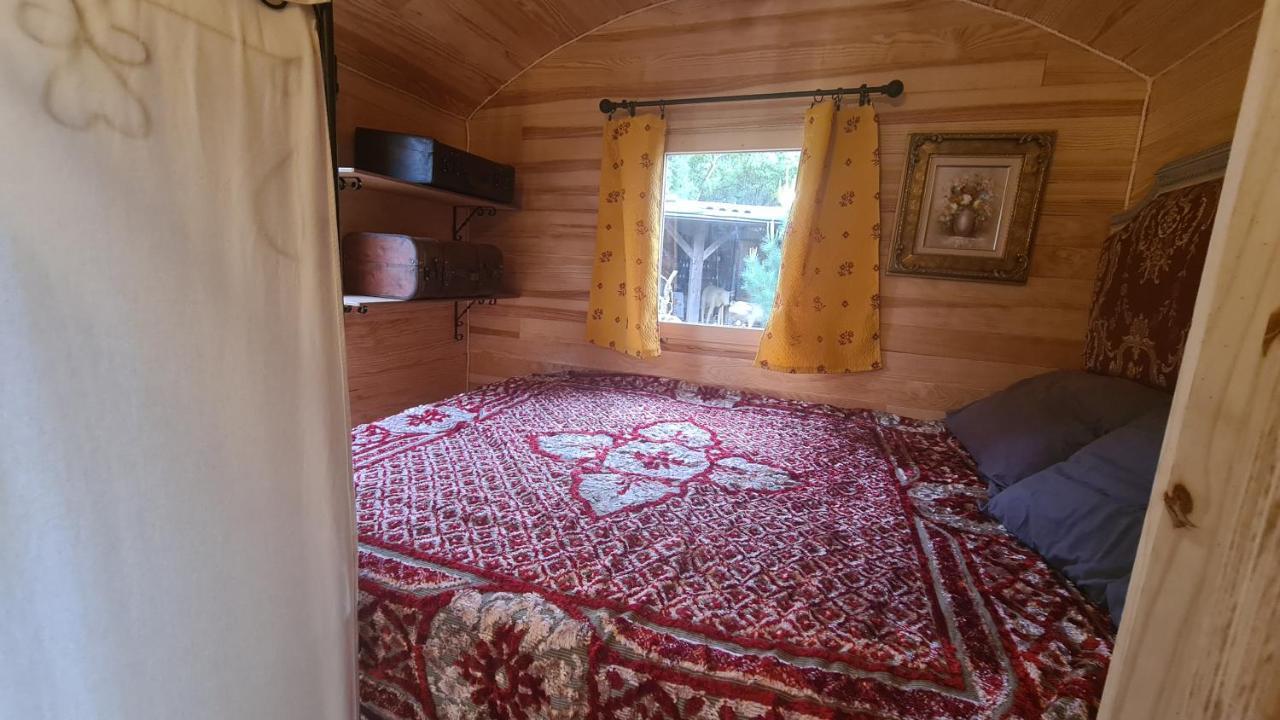 Lodge La Roulotte Au Coeur Du Maquis